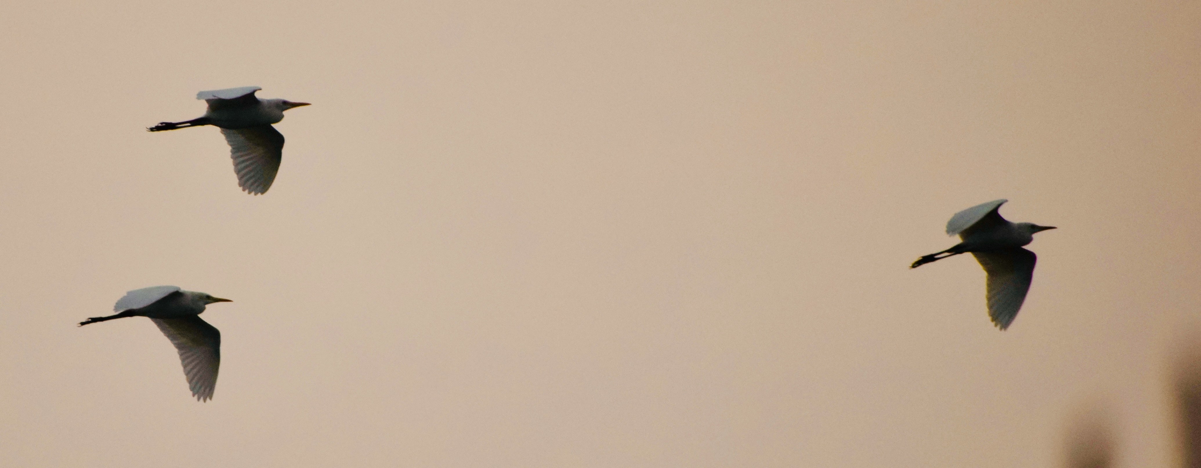 ゲーミング環境でヘッドセットを使用し、低遅延Audio技術によって映像と音が完全に同期している様子を表したイラスト