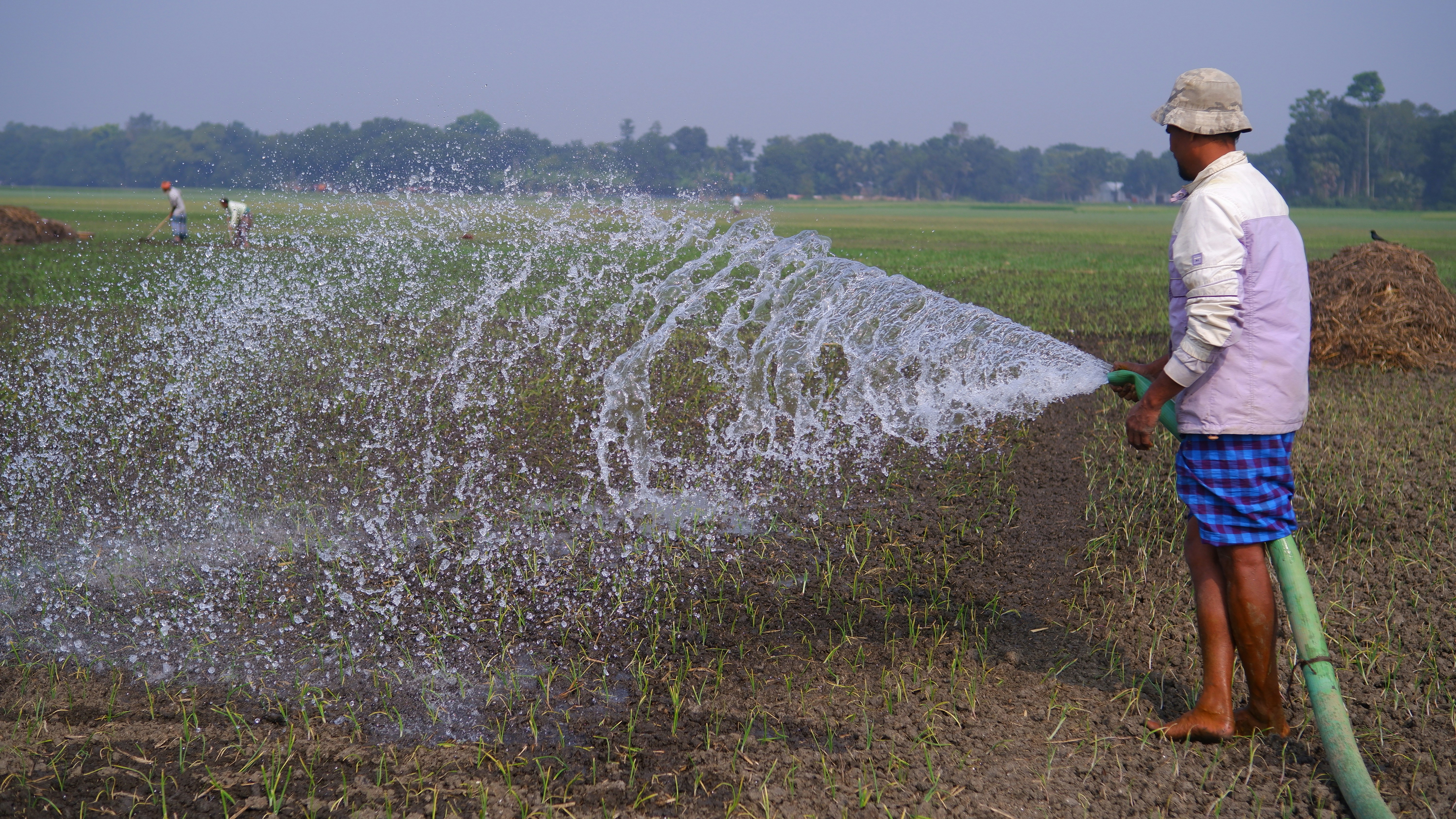 農地に設置されたIoTセンサーがクラウドやAIと連携して自動的に灌漑を行うシーン